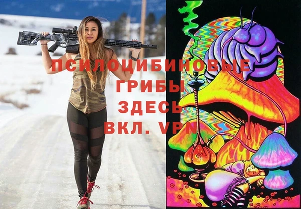 прущие крисы Алексеевка